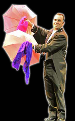 Domenic Gatto Domagie